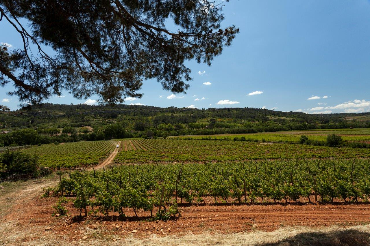 a clos bag 3 264